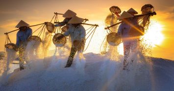 Remote Freelancing and Profile Building Program